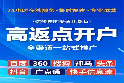 提升转化率：SEM广告投放的实战案例分享